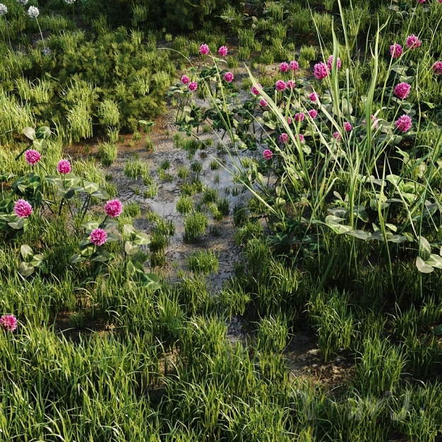 户外花草 草地3D模型