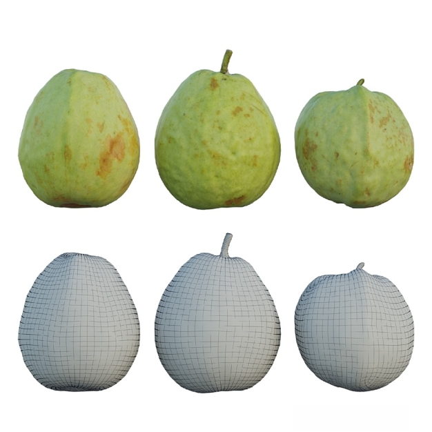 番石榴3D模型