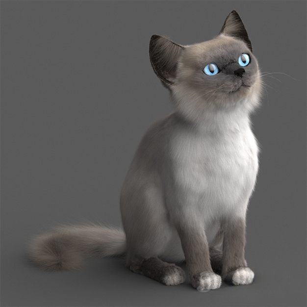 猫3D模型