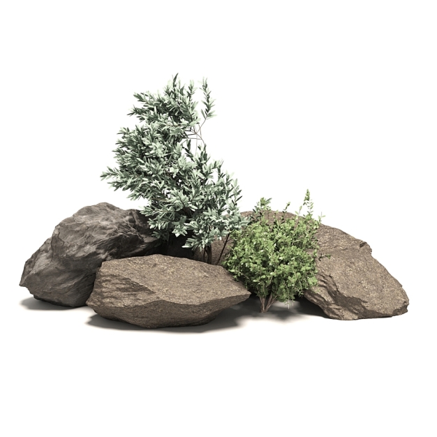 石头 石堆 植物3D模型