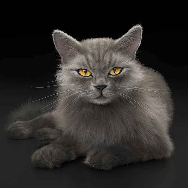 猫3D模型
