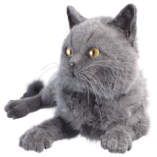 猫3D模型