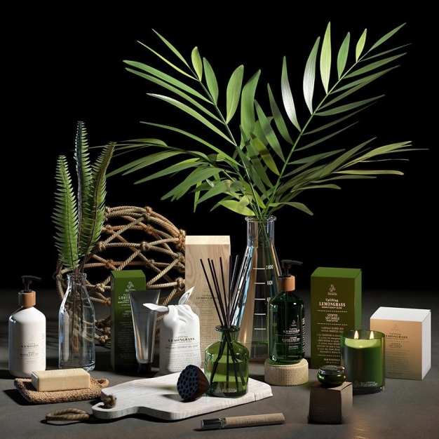 现代香薰水培绿植花瓶3D模型