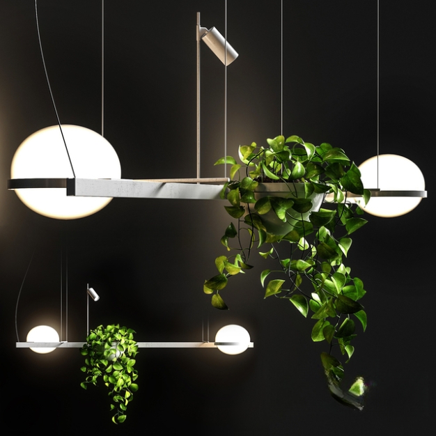 现代植物吊灯3D模型