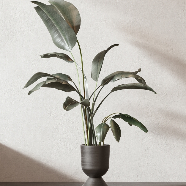 植物盆栽3D模型