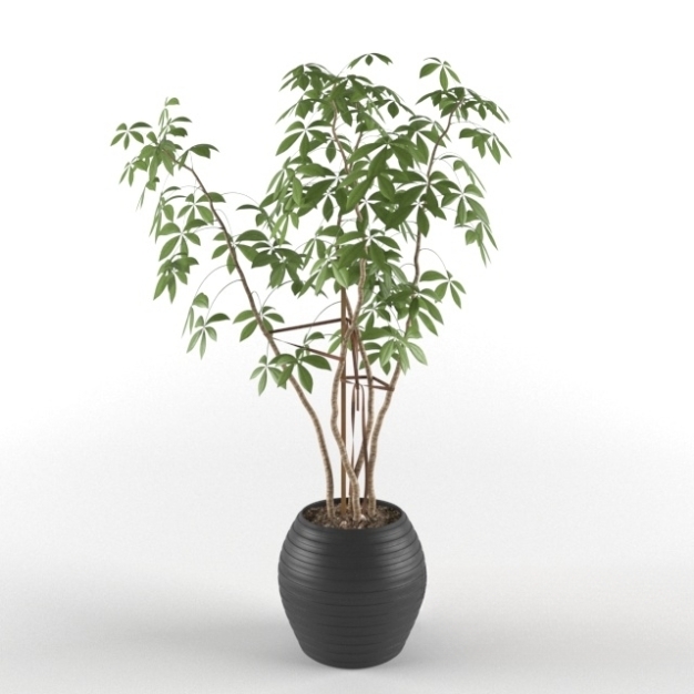现代植物盆栽3D模型