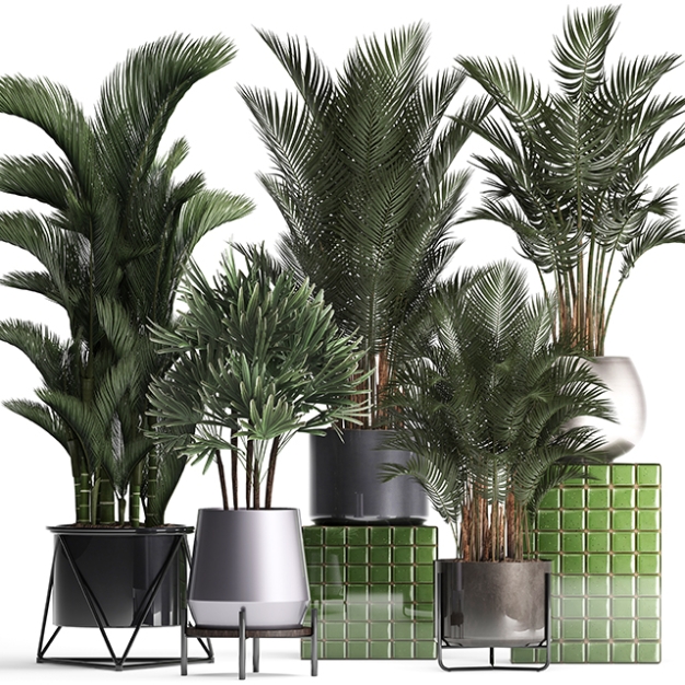 植物盆栽3D模型