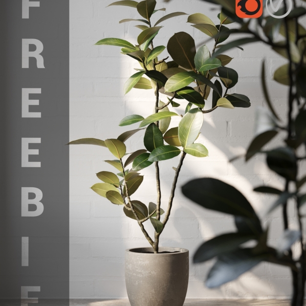 植物盆栽3D模型
