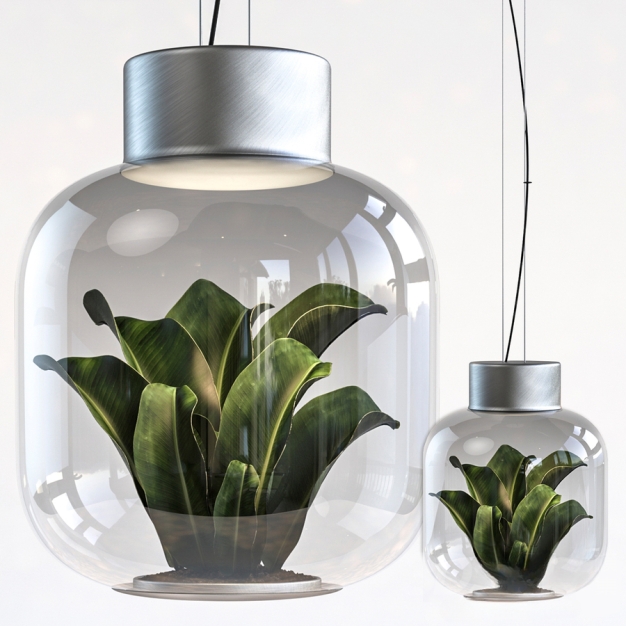 现代植物吊灯3D模型