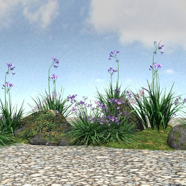 紫娇花3D模型3D模型
