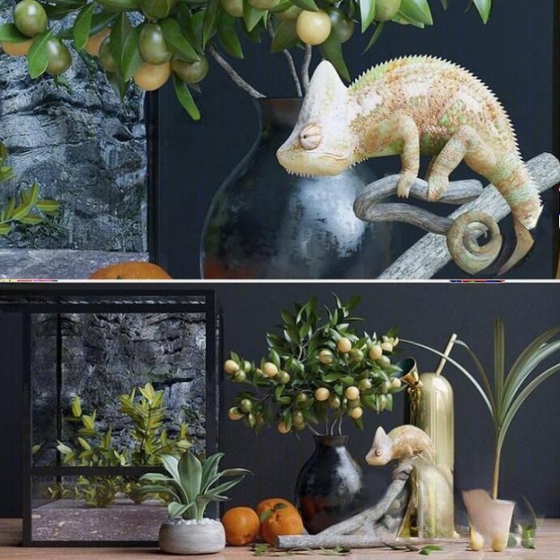 花瓶花艺饰品摆件3D模型