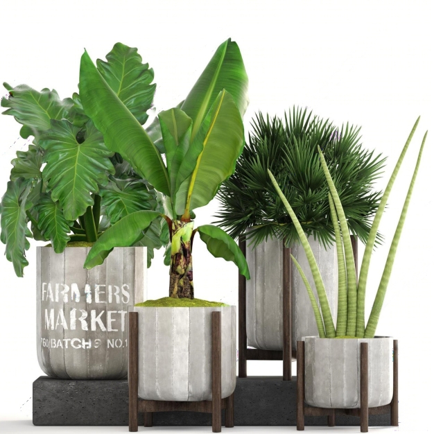 植物盆栽3D模型
