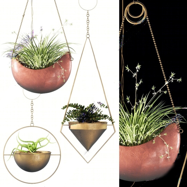 植物吊兰盆栽3D模型