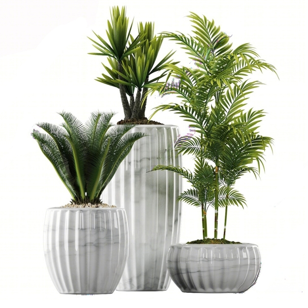 植物盆栽3D模型