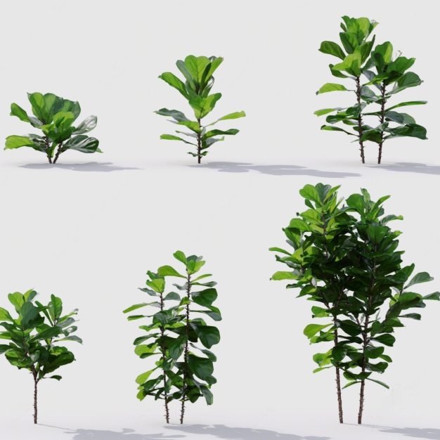 植物 绿植3D模型
