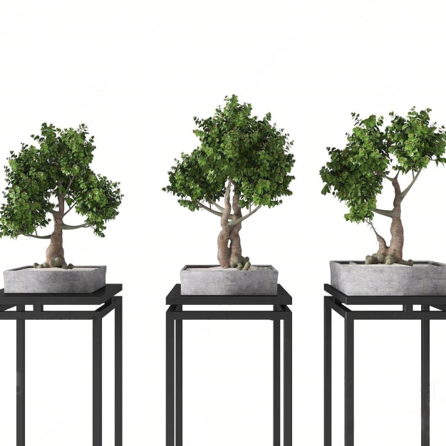 植物盆栽3D模型