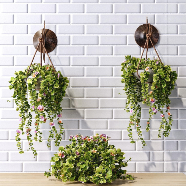 植物盆栽 3D模型