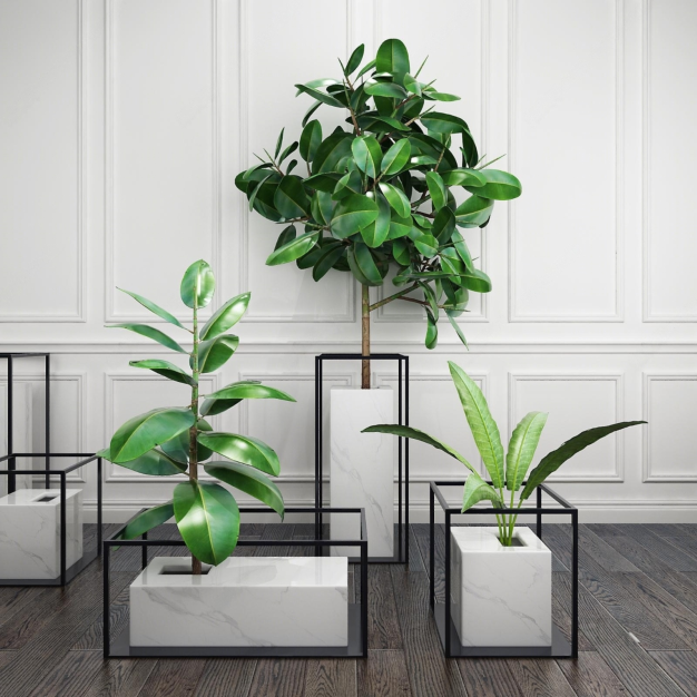 植物盆栽3D模型