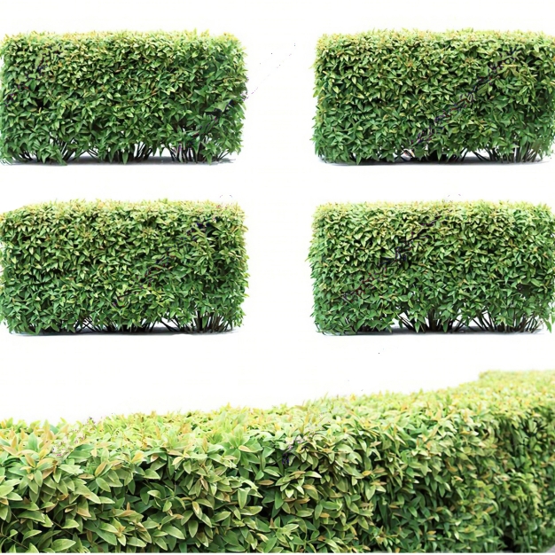 灌木3D模型