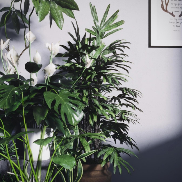 植物盆栽3D模型