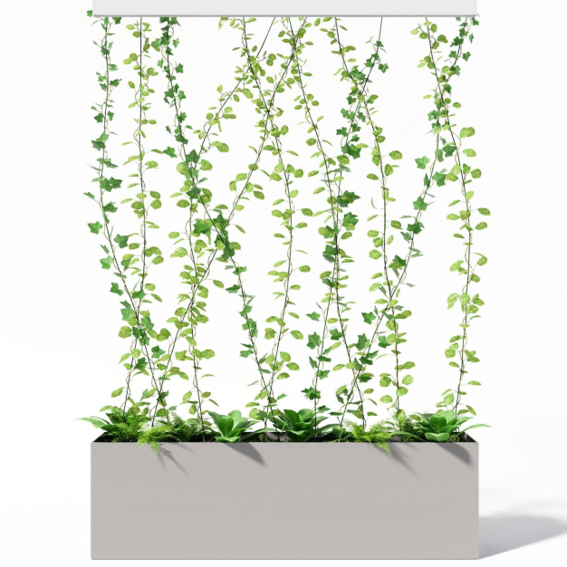 花箱 藤蔓3D模型
