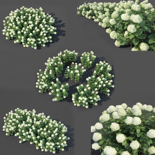 花草植物3D模型