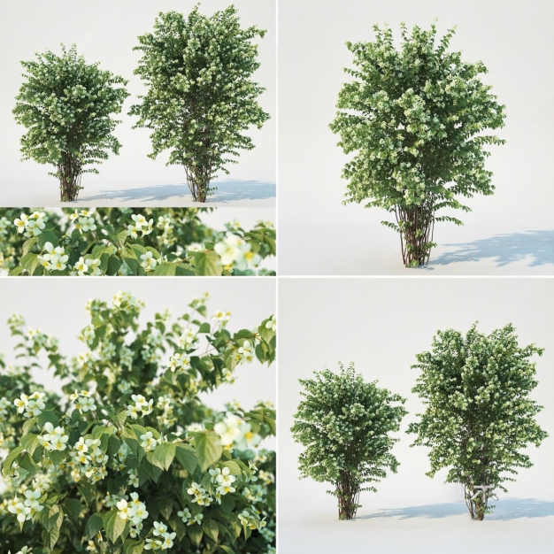 灌木绿篱植物3D模型