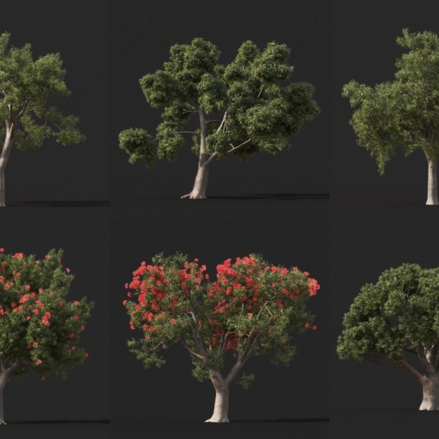 现代景观树3D模型