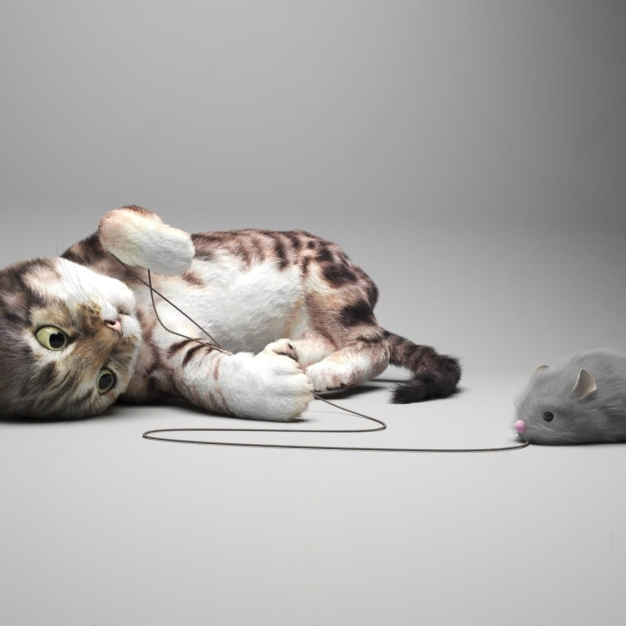 小猫3D模型