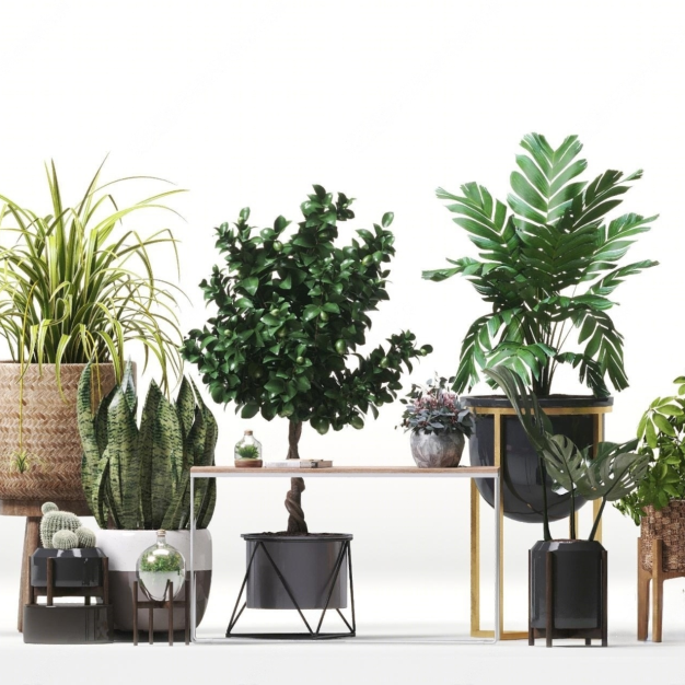 现代植物盆栽组合3D模型