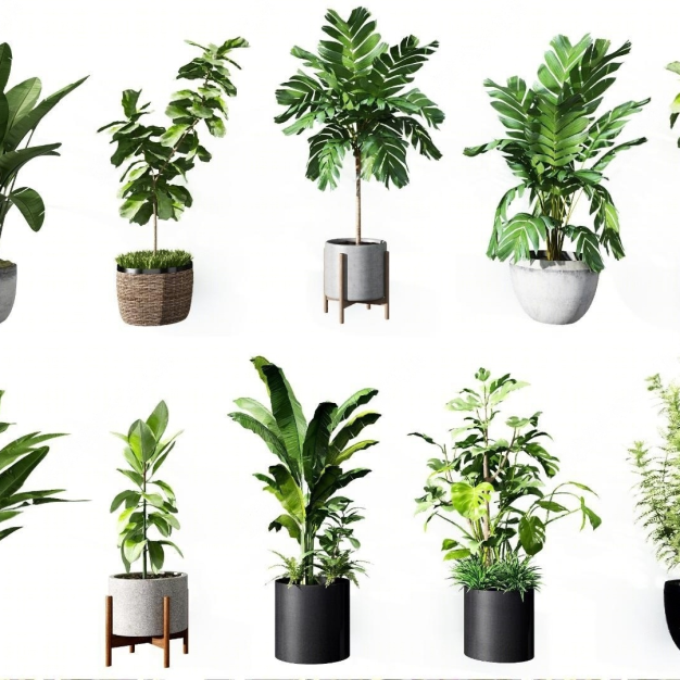 现代植物盆栽组合模型3D模型