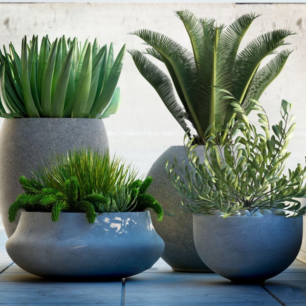  现代盆栽植物3D模型