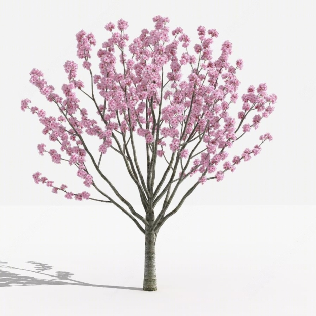 树木植物3D模型