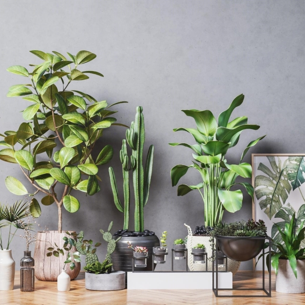 现代植物盆栽组合3D模型