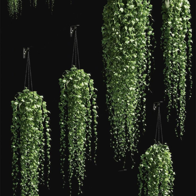 现代盆栽吊兰植物3D模型