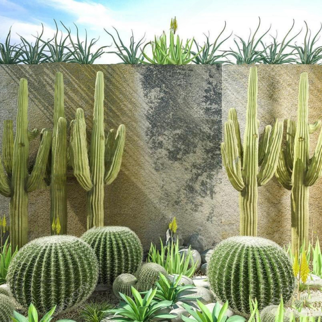 仙人球仙人掌绿植组合3D模型