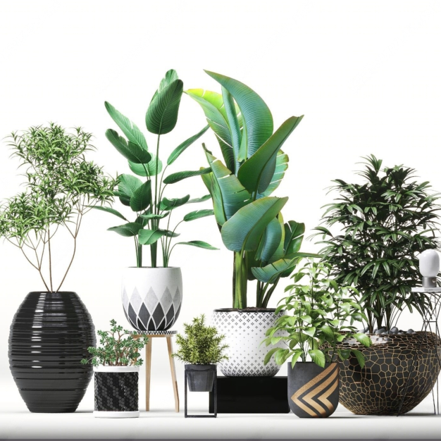 现代植物盆栽组合3D模型