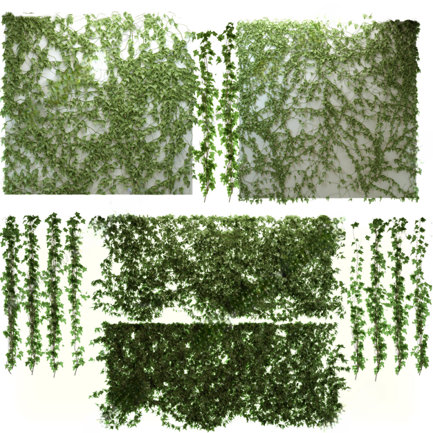 现代爬山虎绿植藤蔓3D模型