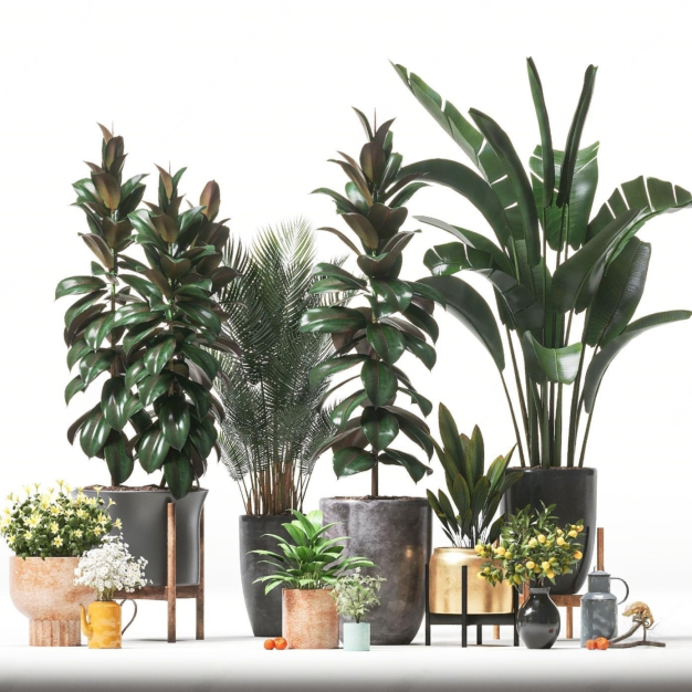 现代植物盆栽组合3D模型