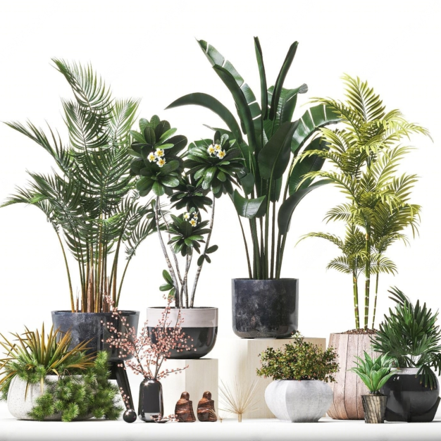 现代植物盆栽组合3D模型