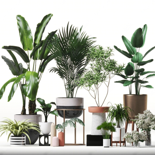 现代植物盆栽组合3D模型