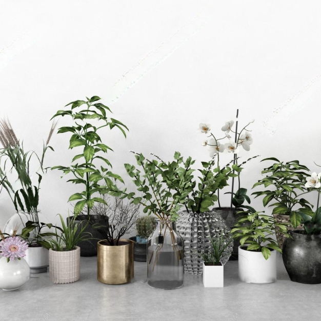 植物盆栽组合3D模型