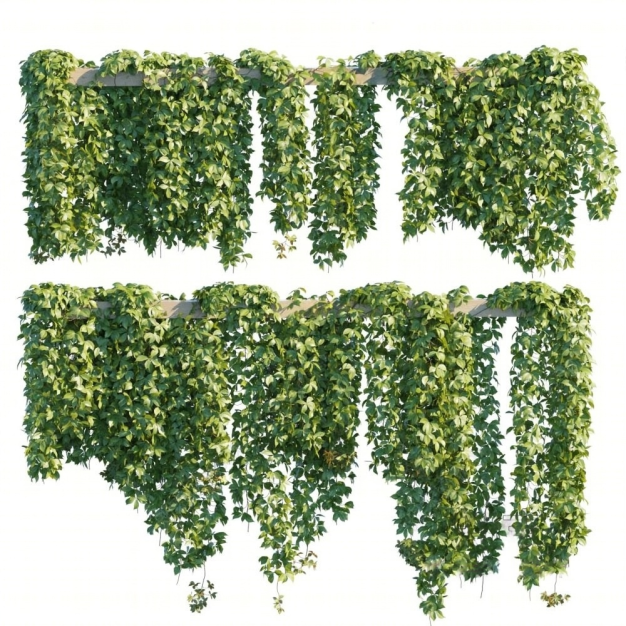 藤蔓植物3D模型