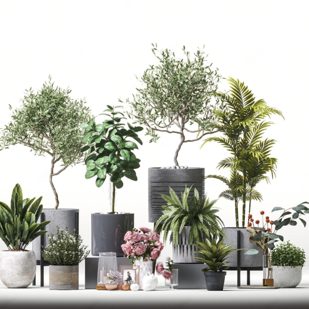 现代植物盆栽组合3D模型