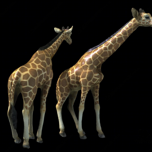 长颈鹿3D模型