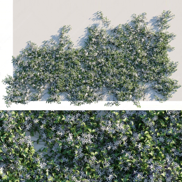 现代绿植墙3D模型