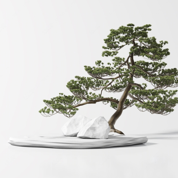 新中式松树盆景盆栽3D模型