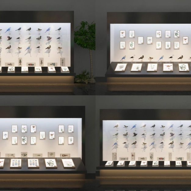 现代植物动物标本展柜3D模型