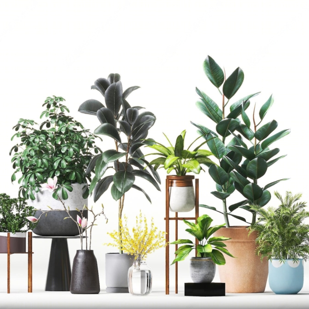 现代植物盆栽组合模型3D模型