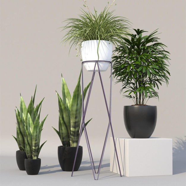 现代盆栽绿植组合3D模型